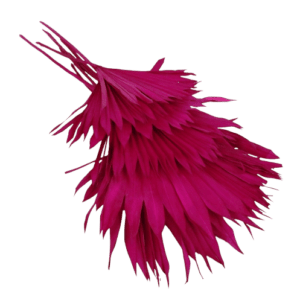 Sun Palm Hot Pink x 6pcs-0