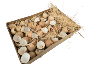 Broken Hen Shells Brown-0