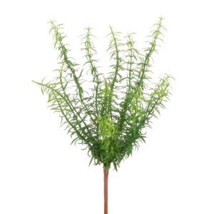 Rosemary Bush 38cm-0