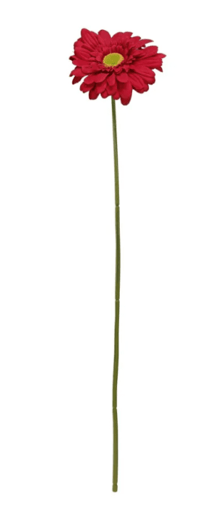 Single Gerbera 72cm Burgundy-0