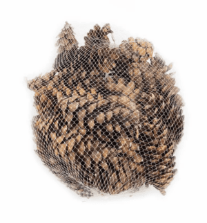 Dried Pinus Cones In Net x 500g