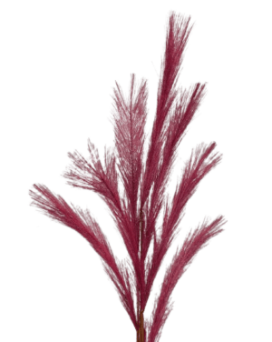 Artificial Pampas Spray 68cm Dk Pink