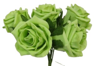 Foam Colourfast Cottage Rose x 6 Lime - DIS-0