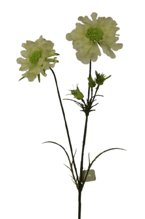 Scabiosa Spray-84cm Cream-0